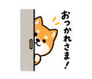 884943968