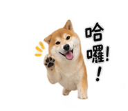 884946113