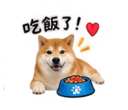 884946122