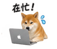 884946123