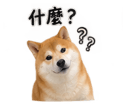 884946124