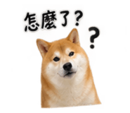 884946125