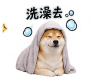 884946135