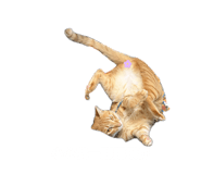 884973559