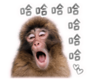 884974669