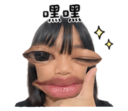 884975941