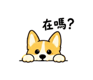 884976440