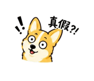 884976443