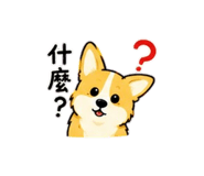884976444