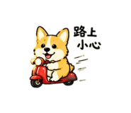 884976462