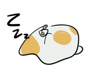 884976989