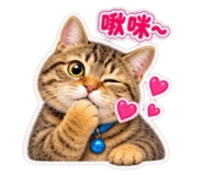 884977360