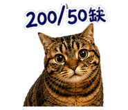 884977385