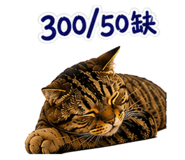 884977386