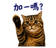884977388