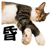 884977511