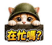 884977864