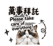 884980643