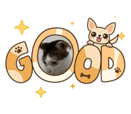 884980753