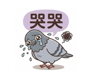 884980974
