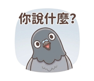 884980977