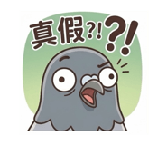 884980978