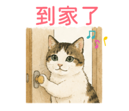 884981992