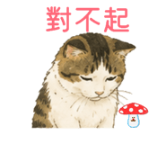 884981999