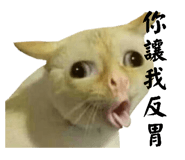 884982385