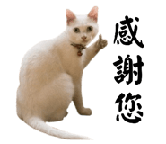 884982390