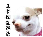 884982394
