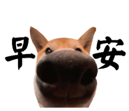 884982402