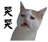 884982406
