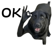 884982408