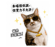 884984345