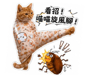 884984346