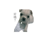884985170