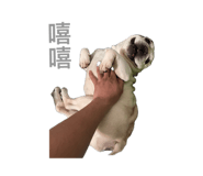 884985180