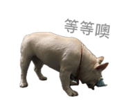 884985187