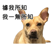 884985345