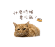 884995349