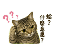 884996565