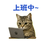 884996571