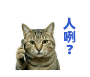 884996585