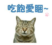 884996586