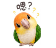 884996746