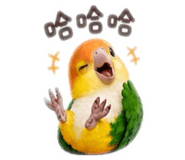 884996759