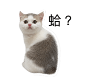 884997829