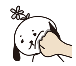 885008