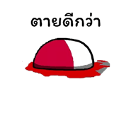 885024593